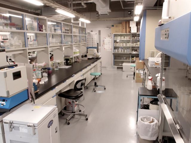 実験室2